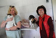 Kathrin Sander (l.), Leiterin des Tierheims, und Renate Siekk&ouml;tter zeigen, wie viele Katzen es momentan bei ihnen gibt. - Jan-Henrik Gerdener