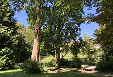 hbm-kurpark-bad-meinberg-6 - Cordula Gröne