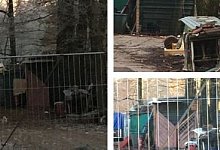 design-ohne-titel-15 - Privat