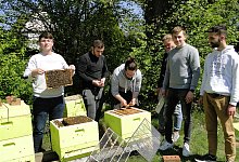 bienenzucht_am_ffb_hajo - Hajo G&auml;rtner