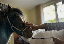 thumbnail_img_1688 - 1 - Danielle Dörsing