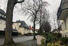 Roonstraße - Sven Kienscherf