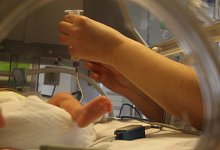 Inkubator - Janet K&ouml;nig