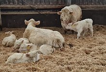 1000078266 - Marianne Schwarzer