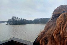 Schwangerschaftsabbrüche - Janet König