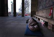 urn:newsml:dpa.com:20090101:201128-99-496453 - Martin Gerten