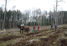 img_4621 - Elin L&uuml;hmann