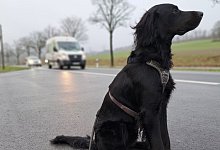 20240219_081520 - Carolin Brokmann-F&ouml;rster