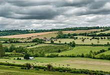 hecken - Symbolbild: Pixabay