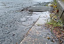 20230218_120348 - Carolin Brokmann-Förster