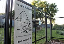 img_0042 - Anastasia von Fugler