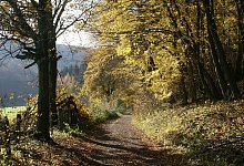 blaschke-3 - Kurt Blaschke