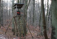 img_5992 - Dieter Scholz