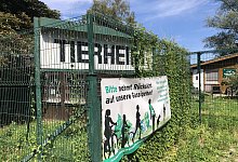 Tierheim Streit - Sven Kienscherf