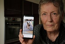 ximg_4245 - Dieter Scholz