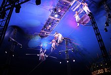 img_4706-1 - Elin L&uuml;hmann