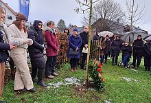 20230127_112341 - Marianne Schwarzer