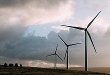 Windr&auml;der - Janet K&ouml;nig