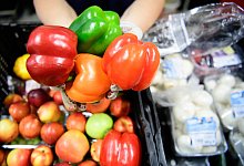 urn:newsml:dpa.com:20090101:220601-99-510952 - Soeren Stache