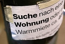 TV-Ausblick RTL - «Wohnung verzweifelt gesucht!» - Paul Zinken