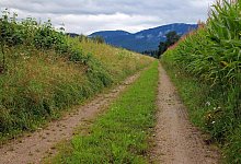 Wirtschaftsweg - Symbolbild: Pixabay