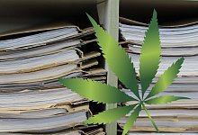 Cannabis - Canva/Pixabay