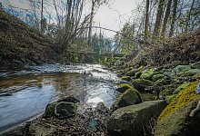 230410-nw-bach-04 - Sarah Jonek