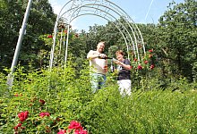 Weinfest_img_0591 - Jens Rademacher