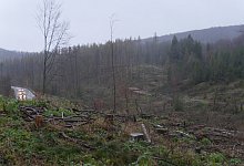 p1310808 - Archivfoto: Jost Wolf