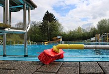 Detmolder Freib&auml;der - Nico D&uuml;llmann