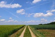 Wirtschaftsweg - Symbolbild: Pixabay