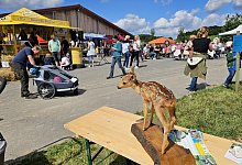 20240825_130059 - Astrid Sewing