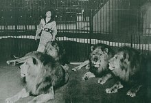 Auf den Spuren historischer Frauenpers&ouml;nlichkeiten - Archiv Schmidt-Friese