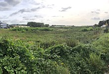 Werler Feld - Thomas Reineke