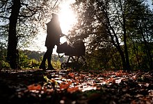 Frau mit Kinderwagen - Fabian Strauch
