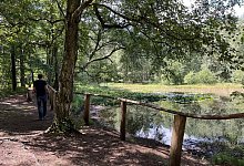 img_2120 - Jana Beckmann