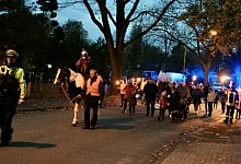 Hoch zu Ross - Heidi Stork