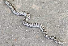 img_20240730_122743 - 1 - Claudia Schlothauer