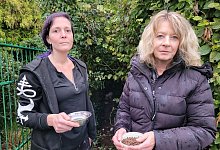 Futterstelle L&uuml;erdissen - Freya K&ouml;hring