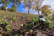 20211026_121746 - Marianne Schwarzer