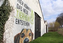 img_9622 - Burkhard Battran