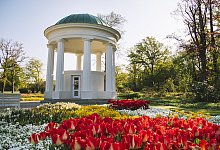 Leopoldsprudel - Nadja Jacke