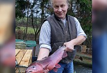 quer - Axel B&uuml;rger