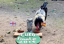 kr_endspiel - Umweltzentrum Heerser M&uuml;hle