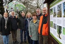 Schneitelbuchen Kalletal - Nico D&uuml;llmann