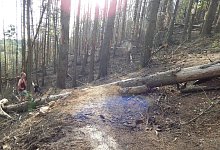 Downhillstrecke am T&ouml;nsberg - Gunter Held