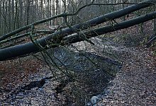 20240201_134328 - 1 - 1 - Anne Wolf