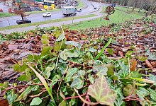 20230127_115830 - Marianne Schwarzer