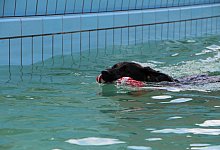 img_9379 - Astrid Sewing