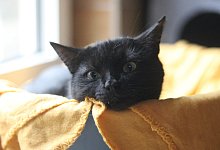 img_8899 - Jessica Eberle